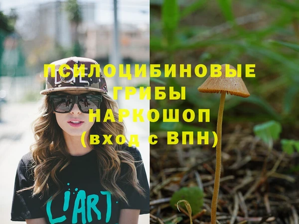 дживик Арсеньев