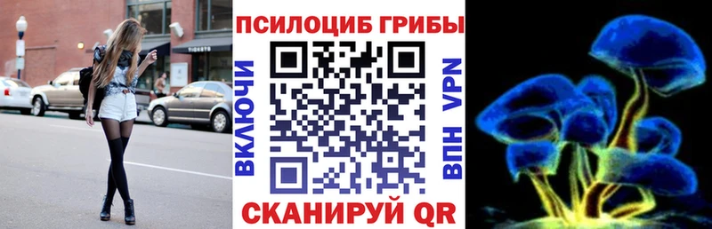 Псилоцибиновые грибы мицелий  KRAKEN рабочий сайт  Пудож  где купить наркоту 